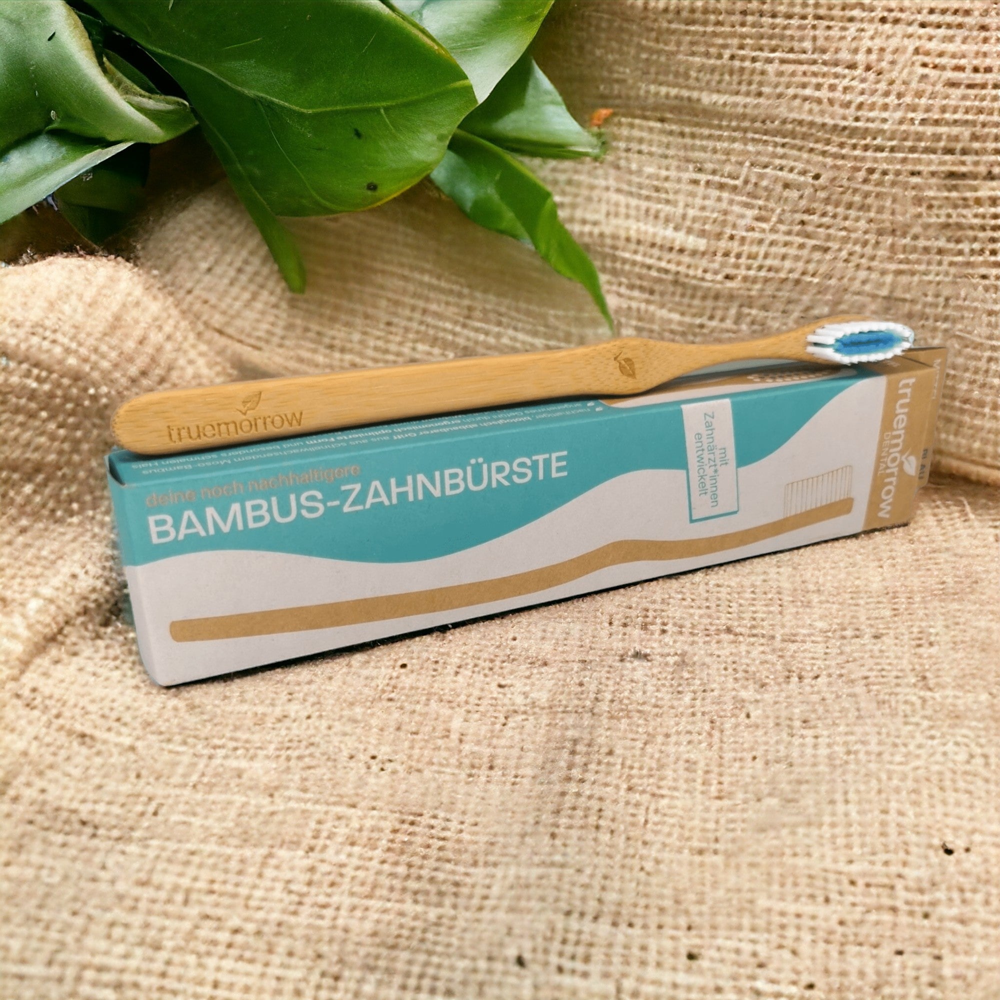 truemorrow Bambus-Zahnbüste platziert auf der Kartonage  auf einem beigen Tuch mit Bambusblättern